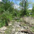 11265 Arnold Miller Road - Photo 36