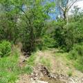 11265 Arnold Miller Road - Photo 37