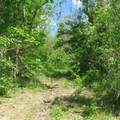 11265 Arnold Miller Road - Photo 38