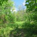 11265 Arnold Miller Road - Photo 39