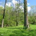 11265 Arnold Miller Road - Photo 49