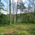 11265 Arnold Miller Road - Photo 54