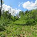 11265 Arnold Miller Road - Photo 58