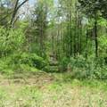 11265 Arnold Miller Road - Photo 61