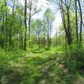 11265 Arnold Miller Road - Photo 64