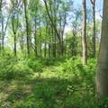 11265 Arnold Miller Road - Photo 65