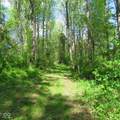 11265 Arnold Miller Road - Photo 66