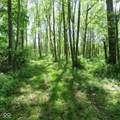 11265 Arnold Miller Road - Photo 67