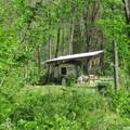 11265 Arnold Miller Road - Photo 68