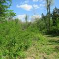 11265 Arnold Miller Road - Photo 69