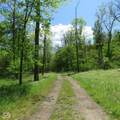 11265 Arnold Miller Road - Photo 8