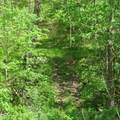 11265 Arnold Miller Road - Photo 9