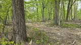 0 Taylor Road - Photo 2