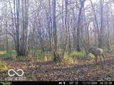 6000 Block County Rd 1000 - Photo 4