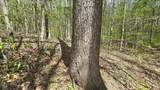 0 County Road 550 - Photo 11