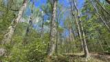 0 County Road 550 - Photo 18