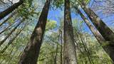 0 County Road 550 - Photo 19