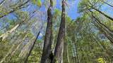 0 County Road 550 - Photo 24