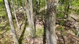 0 County Road 550 - Photo 5