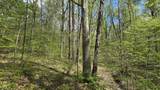 0 County Road 550 - Photo 42