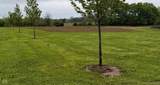 2425 County Road 150 - Photo 1