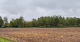 2425 County Road 150 - Photo 7