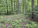 102 & 104 Crabapple Court - Photo 6