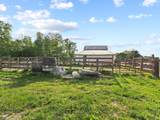 8000 County Road 380 - Photo 37
