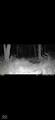 0 1000 - Photo 28