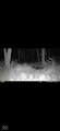 0 1000 - Photo 29