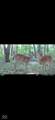 0 1000 - Photo 37