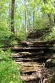 Tract 4: 0 County Road 555 - Photo 14