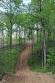 Tract 4: 0 County Road 555 - Photo 17