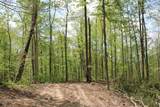 Tract 4: 0 County Road 555 - Photo 19
