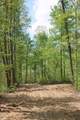 Tract 4: 0 County Road 555 - Photo 20