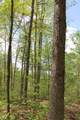 Tract 3: 0 County Road 555 - Photo 2