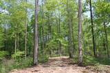 Tract 3: 0 County Road 555 - Photo 18
