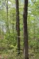 Tract 3: 0 County Road 555 - Photo 10