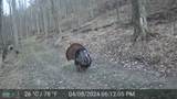 10000 Block State Road 135 - Photo 76