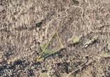 0 Hawk Harbor - Photo 7