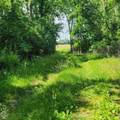 11680 Marlin Road - Photo 1
