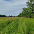11680 Marlin Road - Photo 2