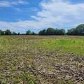 11680 Marlin Road - Photo 3