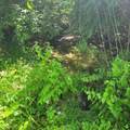 11680 Marlin Road - Photo 4