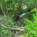 11680 Marlin Road - Photo 5