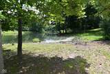 0 Lower Lake Drive - Photo 6
