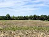 Lot 1 Legacy Estates At Paradise - Photo 1