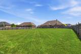 2946 Colton Road - Photo 60