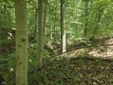 8025 Fish Road - Photo 5