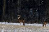 0 400 - Photo 11